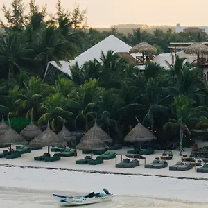 Casa Tortugas Petit & Hotel